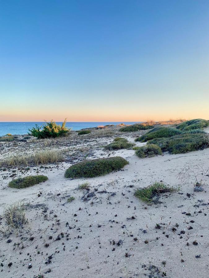 Le Margherite Holiday Home - Campomarino Di Maruggio, Zona Acquadolce Cirenaica エクステリア 写真